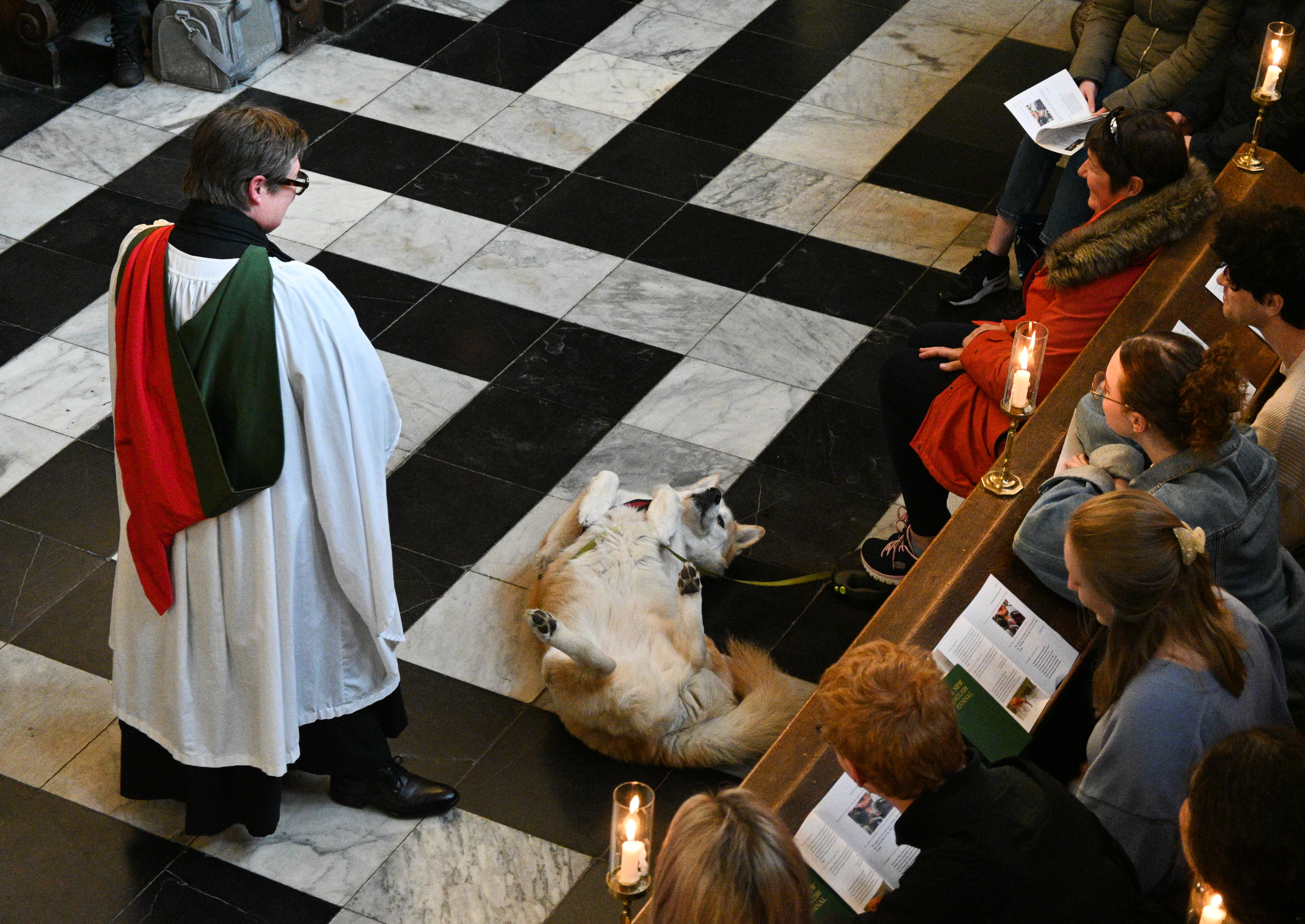 Helen Orchard robed witha dog lying at her feet