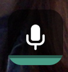 Whereby microphone button