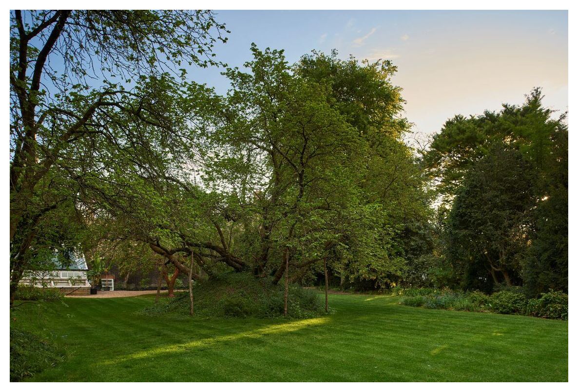 Milton's Mulberry Tree