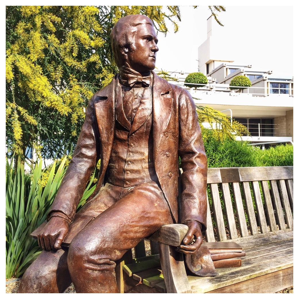 Anthony Caro's sculpture of the Young Darwin