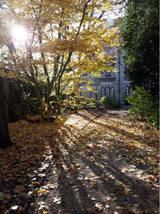 Fellows Garden Autumn