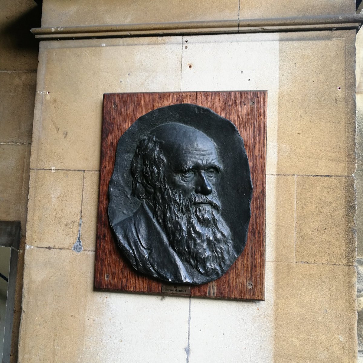 Darwin on wall