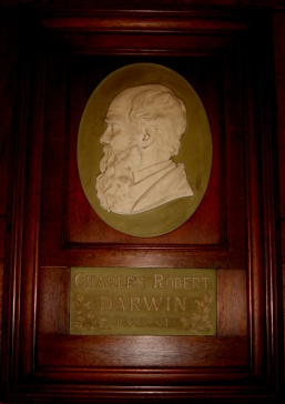 Plaque in Darwin's room. Photograph by John van Wyhe