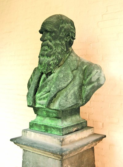 Image of the Darwin bust within the shrine at Christ's College