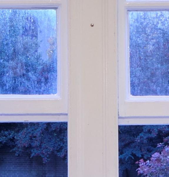 Student looking out of window
