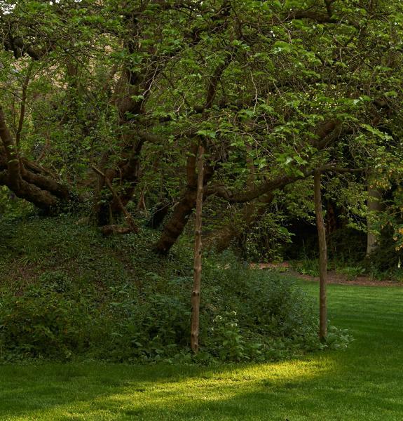 Milton's Mulberry tree
