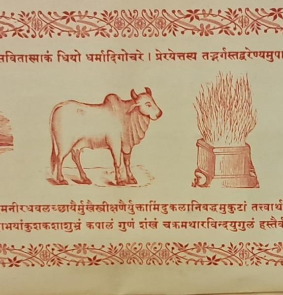 A illustrated Sanskrit text with cow