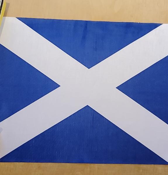 Scotland flag and French books