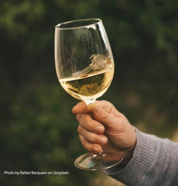 A hand holding a glass of white wine