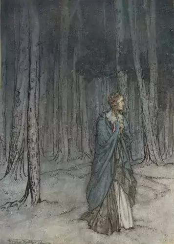 The lady enters picture