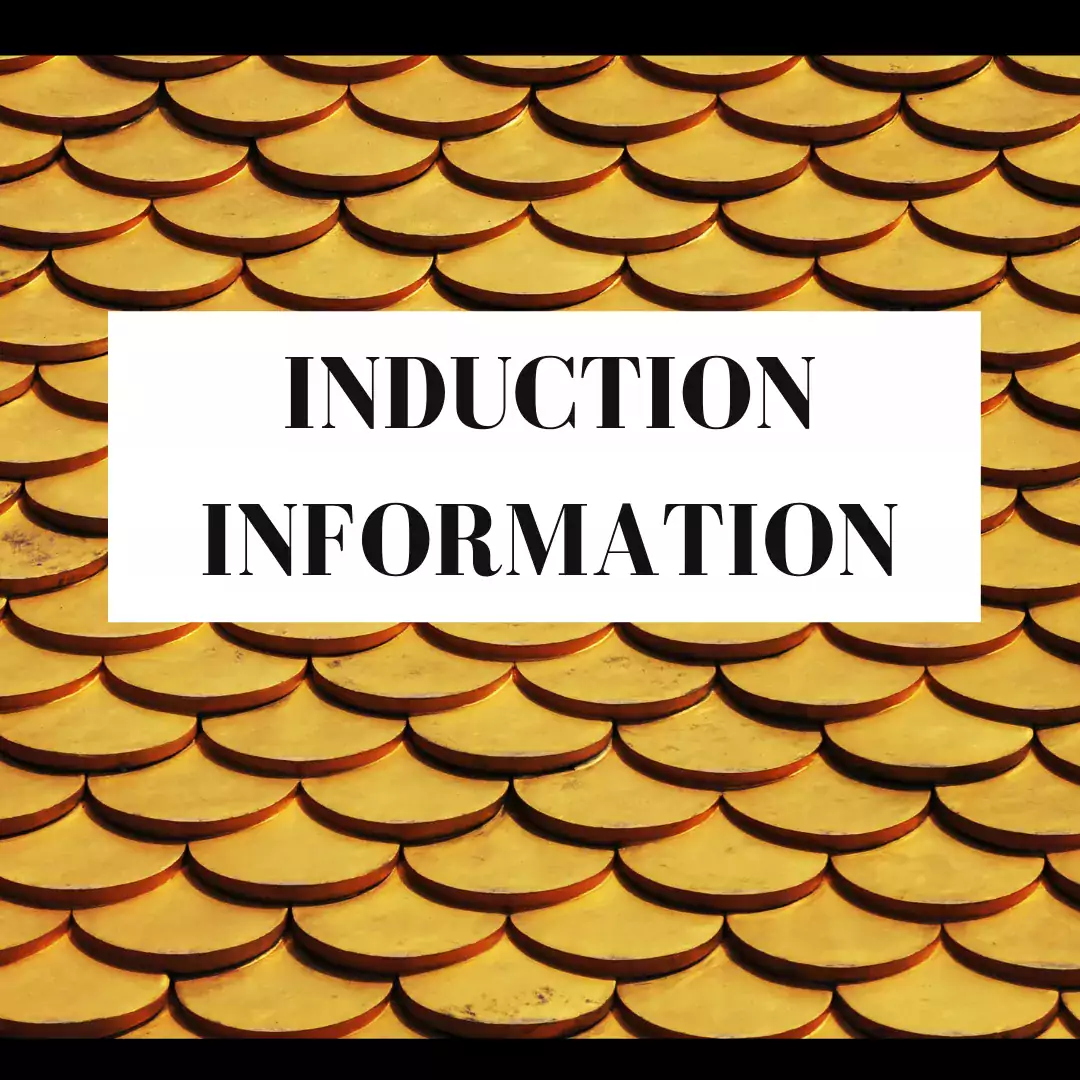 Induction icon 