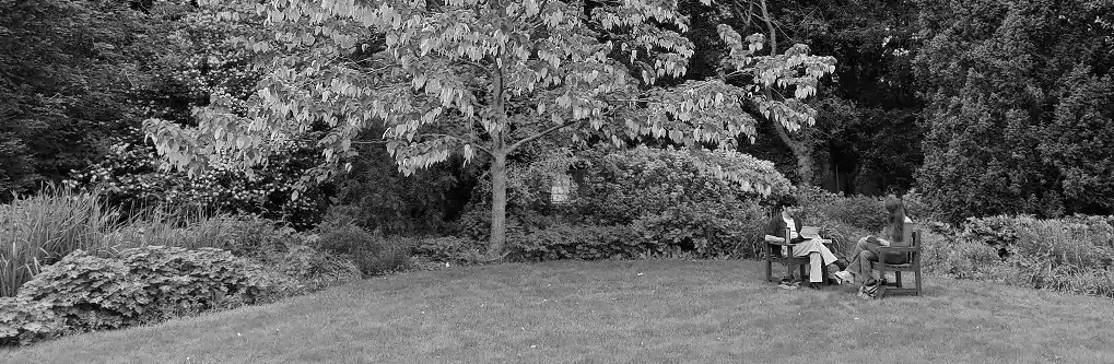 Students reading in Fellows' Garden