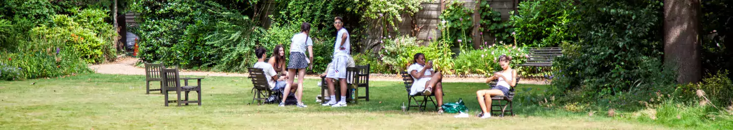 Students on chairs in the garden