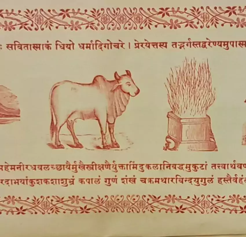 A illustrated Sanskrit text with cow