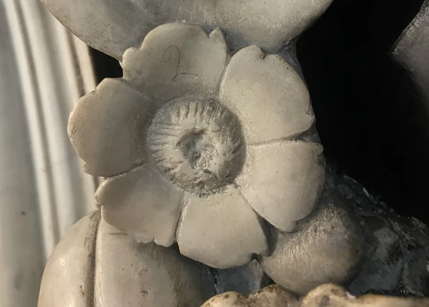 Detail of flower showing pencil mark