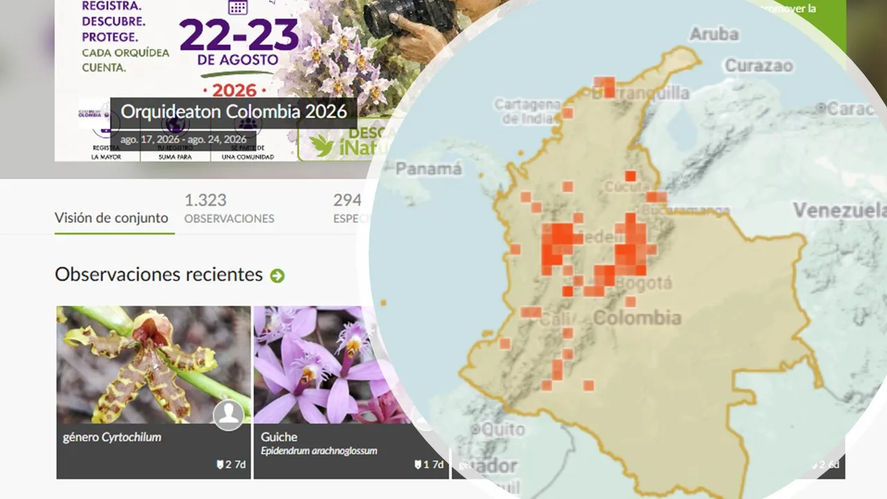 Composite image of map, photos and statistics