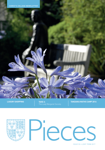 Pieces cover 33