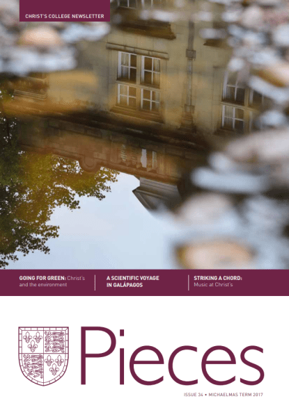 Pieces cover 34