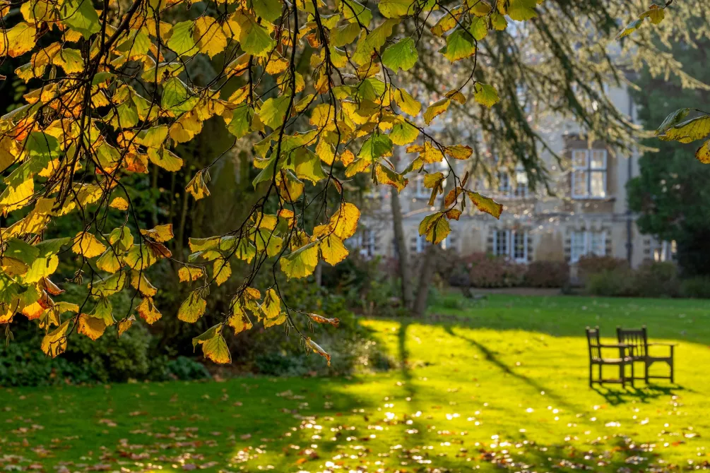 Autumn Leaves in Third Court