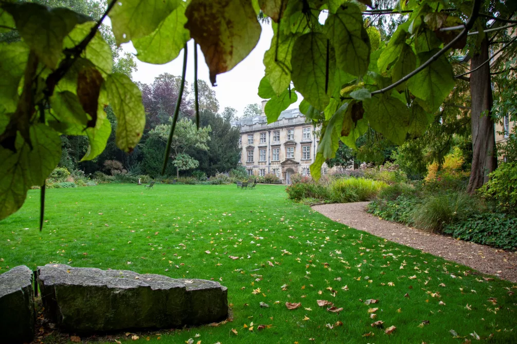 Garden looking towards Fellows' Building