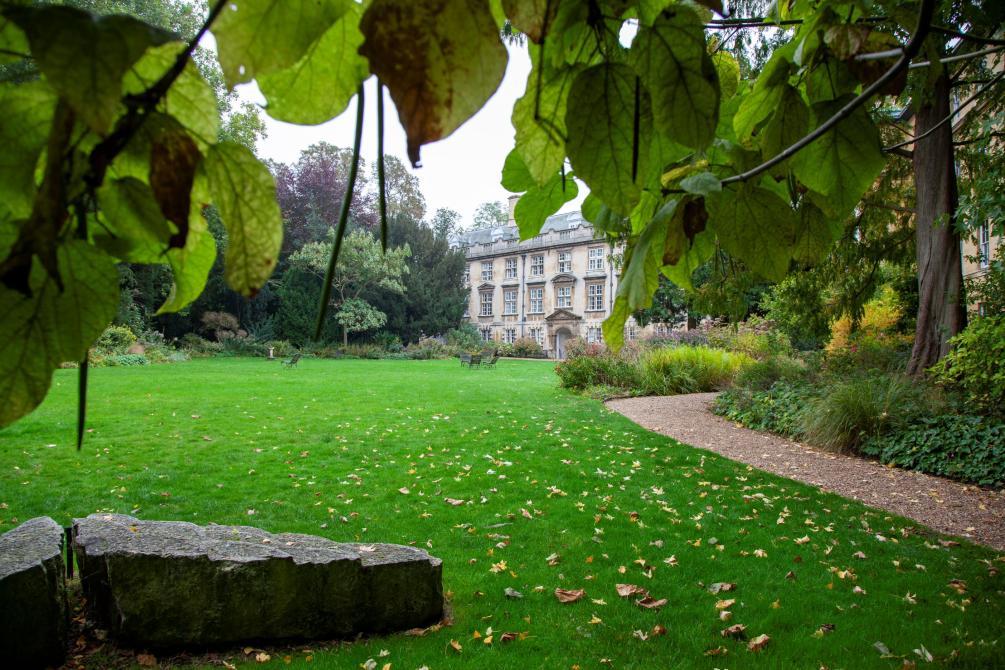 Garden looking towards Fellows' Building