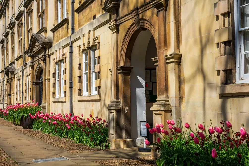 Tulips in second court 