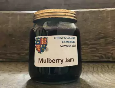 Christ's Mulberry jam